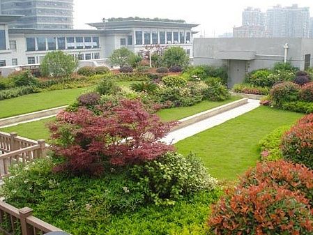 杭州市拱墅區政府大樓屋頂綠化工程 景觀與生態的和諧融合