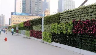 園林工程中的6種垂直綠化形式及其應用