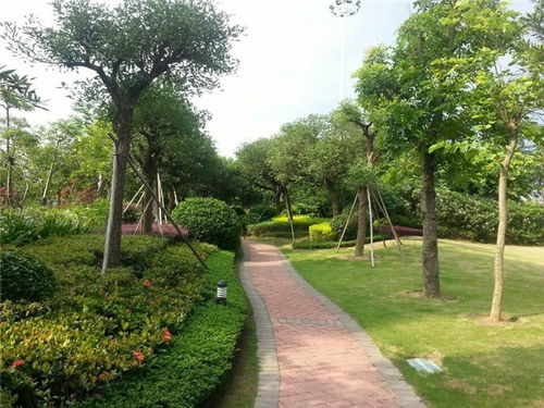 園林養(yǎng)護(hù)指南 從專業(yè)手冊到高清視覺的全面指引